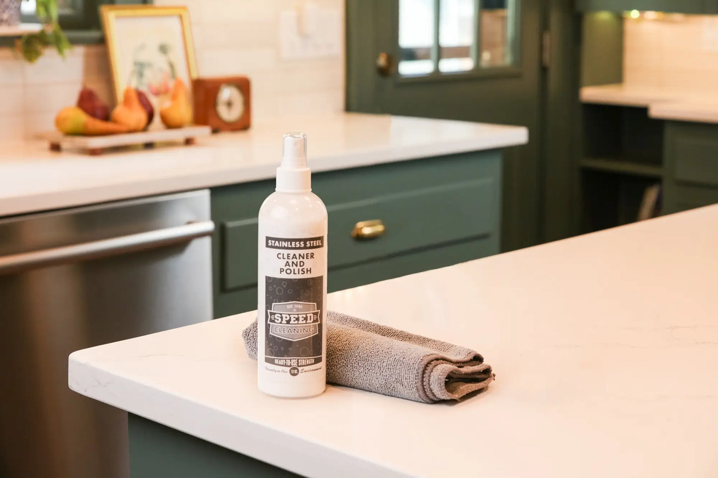 Stainless Steel Cleaner & Polish (12 Oz.) W/Mist Sprayer