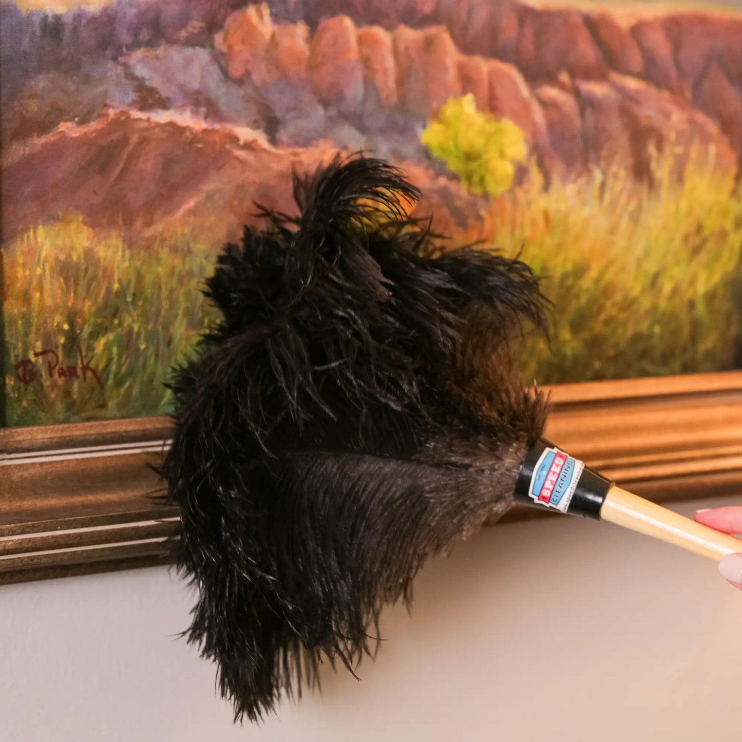 Premium Ostrich Feather Duster | 13, 18, 20 & 28 Inch Sizes